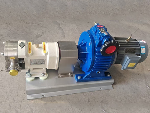 凸輪轉(zhuǎn)子泵2