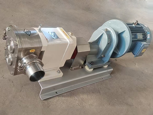 凸輪轉(zhuǎn)子泵3