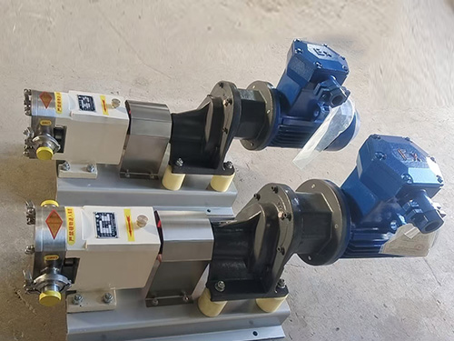 凸輪轉(zhuǎn)子泵4